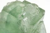 Green Cubic Fluorite Crystals with Phantoms - China #216316-3